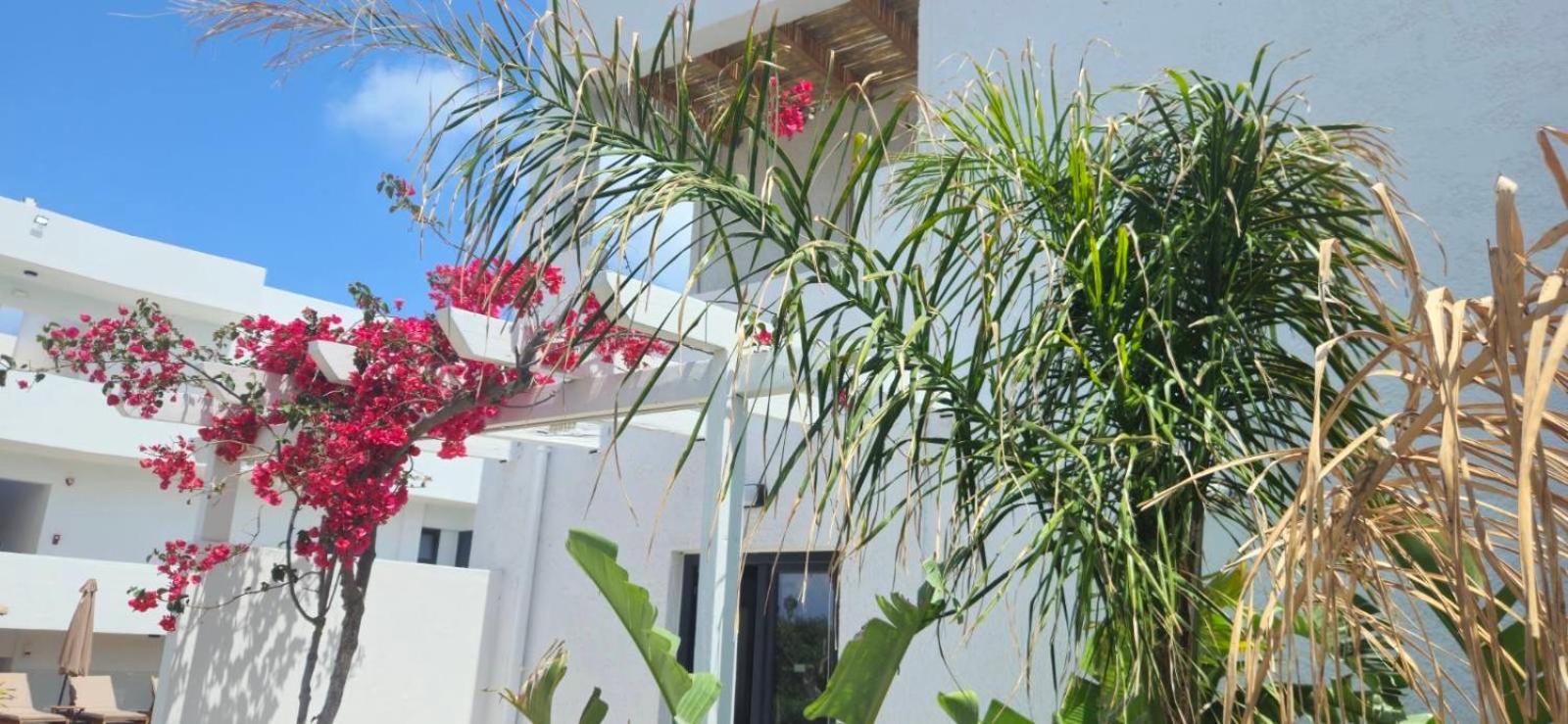 Aegean View Hotel - Adults Only Sfakaki Luaran gambar